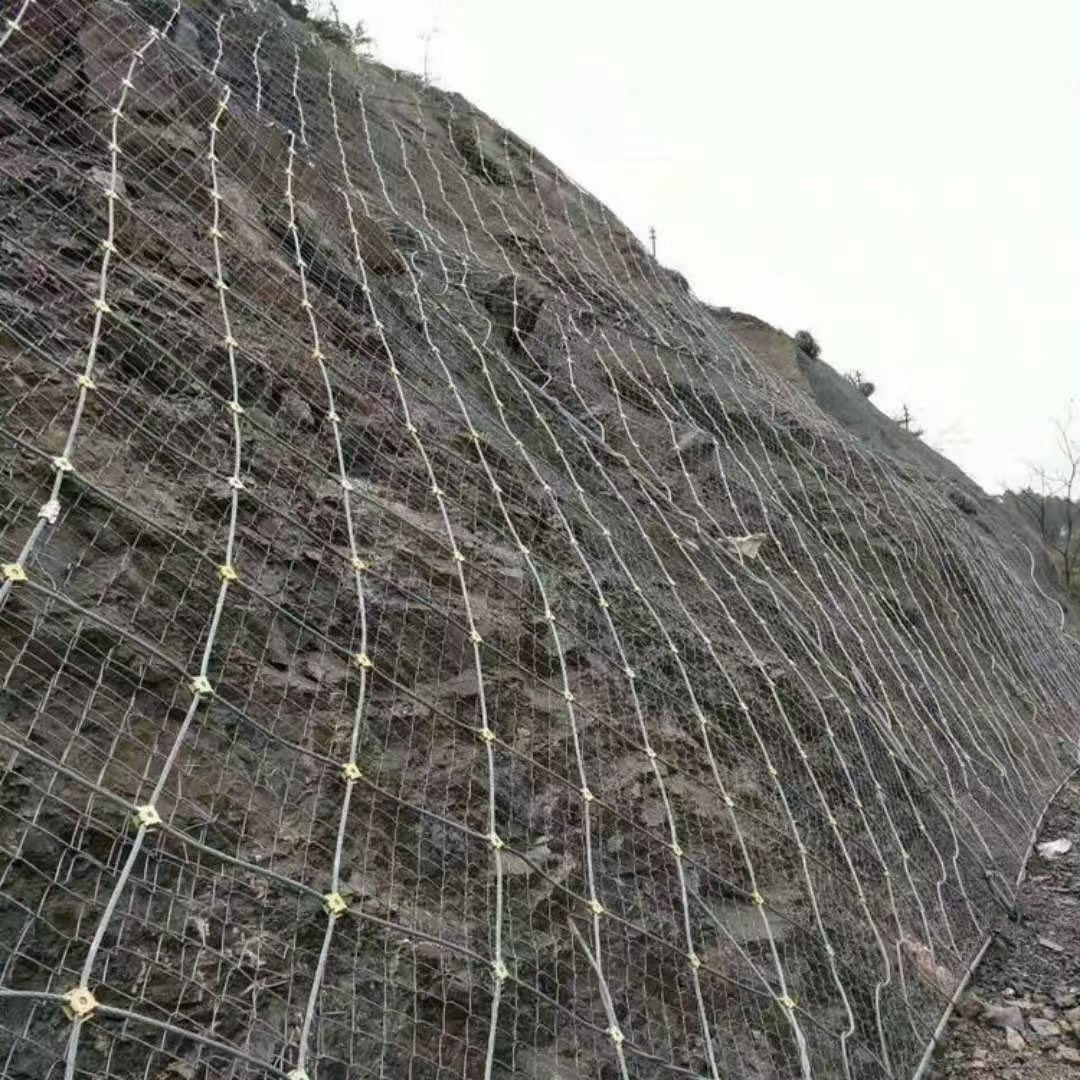 遂昌县秒高山森林防护项目主动防护网工程案例